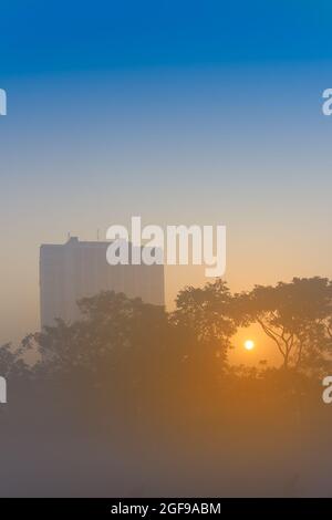 Schönes Bild vom Sonnenaufgang auf dem Kalkutta maidan in einem nebligen Wintermorgen. Sonnenaufgang am Horizont mit Stadtkrappern und einem großen Baum im Vordergrund. Stockfoto