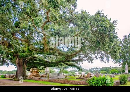 Der Magnolia Cemetery zeigt kunstvolle Gräber, die von jahrhundertealten, lebenden Eichen des Südens umgeben sind, 14. August 2021 in Mobile, Alabama. Stockfoto