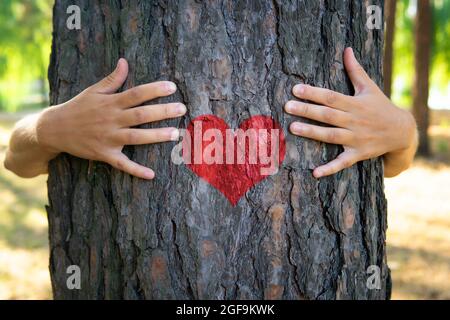 Nahaufnahme von weiblichen Händen, die einen Baum umarmen, mit einem Herzsymbol auf dem Stamm Stockfoto