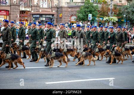 Ukraine, Kiew - 18. August 2021: Zynologen des zynologischen Dienstes. Schäferhunde am Grenzschutz. Ukrainischer militärmarsch in der Stockfoto