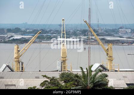 Drei Derricks im Hafen von Douala und eine Palme Stockfoto