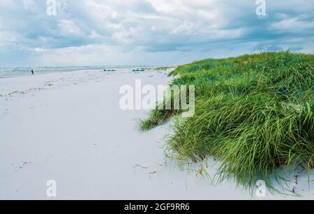 Dueodde, der weiße Sandstrand an der Südküste von Bornholm, Dänemark Stockfoto