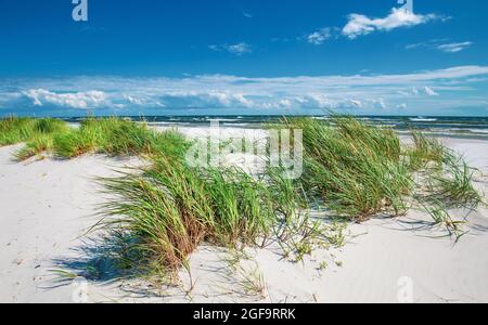 Dueodde, der weiße Sandstrand an der Südküste von Bornholm, Dänemark Stockfoto