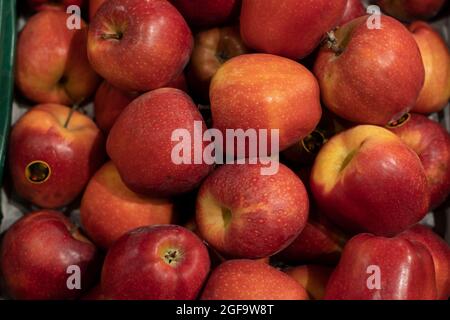 Rote Äpfel als Hintergrund, in einem Markt. Stockfoto