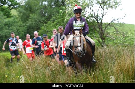 Whole Earth man gegen Horse Endurance Race 2016 Llanwrtyd Wells, Powys. Läufer treten bei einem 22 Meilen langen Cross Country-Event gegen Pferde an. Pic Sam Bagnall Stockfoto