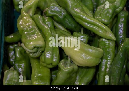 Grüner Pfeffer. Gemüse weit verbreitet in den Mahlzeiten verwendet Stockfoto