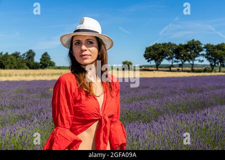 Porträt einer jungen Frau in einem blühenden Lavendelfeld. Sie trägt eine rote Bluse, weiße Shorts und einen Hut. Stockfoto