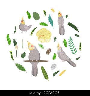 Designvorlage mit Papageien im Kreis für Kinderdruck. Runde Zusammensetzung der tropischen Vögel Schabe. Vektor-Set von Dschungel Leben in Cartoon-Stil. Stock Vektor