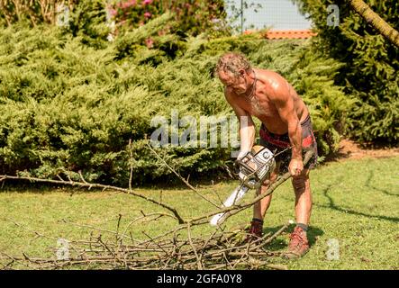 Professioneller Gärtner schneidet Obstbaum mit Kettensäge, Gartenpflege im Herbst. Stockfoto