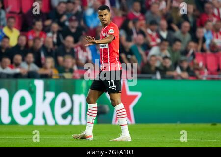 EINDHOVEN, NIEDERLANDE - 24. AUGUST: Cody Gakpo vom PSV während der UEFA Champions League Play-offs die zweite Partie zwischen PSV und Benfica im Philips Stadion am 24. August 2021 in Eindhoven, Niederlande (Foto: Geert van Erven/Orange Picters) Stockfoto