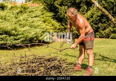 Professioneller Gärtner schneidet Obstbaum mit Kettensäge, Gartenpflege im Herbst. Stockfoto