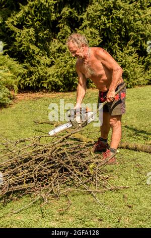 Professioneller Gärtner schneidet Obstbaum mit Kettensäge, Gartenpflege im Herbst. Stockfoto