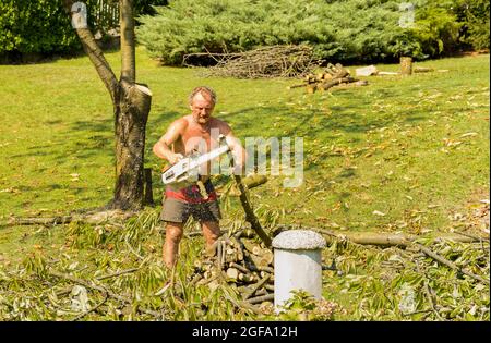 Professioneller Gärtner schneidet Obstbaum mit Kettensäge, Gartenpflege im Herbst. Stockfoto