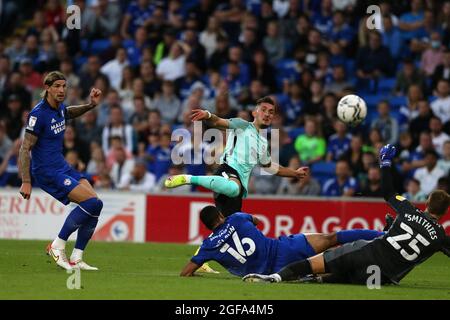 Cardiff, Großbritannien. August 2021. Andi Zeqiri von Brighton & Hove Albion schießt auf das Tor, doch Alex Smithies, der Torhüter der Stadt Cardiff, rettet. Carabao Cup, 2. Runde, Cardiff City gegen Brighton & Hove Albion FC im Cardiff City Stadium in Cardiff, Wales am Dienstag, den 24. August 2021. Dieses Bild darf nur für redaktionelle Zwecke verwendet werden. Nur zur redaktionellen Verwendung, Lizenz für kommerzielle Nutzung erforderlich. Keine Verwendung in Wetten, Spiele oder einem einzigen Club / Liga / Spieler Publikationen. PIC von Andrew Orchard / Andrew Orchard Sport Fotografie / Alamy Live News Kredit: Andrew Orchard Sport Fotografie / Alamy Live News Stockfoto