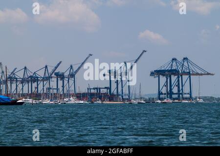 CARTAGENA DE INDIAS, KOLUMBIEN - 29. AUGUST 2015: Kraniche im Hafen von Cartagena. Stockfoto