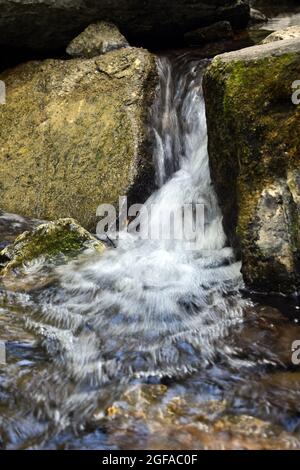 Kleiner Wasserfall, der durch Felsen im McCormick's Creek State Park, Indiana, fließt Stockfoto