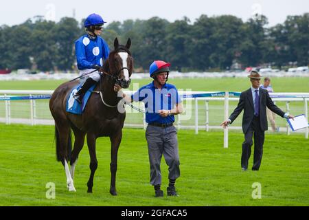 Die Mitarbeiter der Rennbahn helfen Jockey EllaMcCain und Bollin Joan beim Start der York Races, Stockfoto