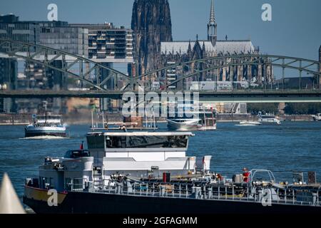 Krangebäude, am Zollhafen, Köln Süd, Wohn- und Bürohochhäuser, Frachtschiffe, Kölner Dom, Eisenbahnbrücke Südbrücke, C Stockfoto