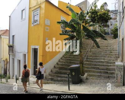 Lissabon, Portugal. August 2021. (INT) Blick auf das Beco do Alegrete in Lissabon. 24. August 2021, Lissabon, Portugal: Blick von der Beco do Alegrete, die bereits am Dienstag (24) die Auszeichnung für die blumige Straße in Lissabon, Portugal, gewonnen hat (Foto: © Edson De Souza/TheNEWS2 via ZUMA Press Wire) Stockfoto