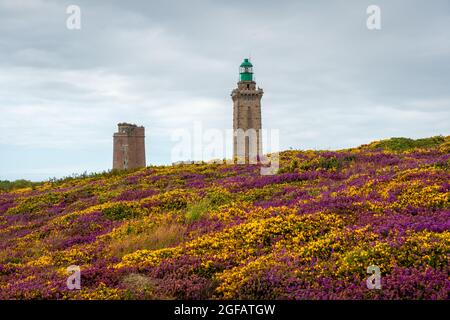Schöne Aussicht auf ein Wildblumenfeld in der Nähe des Leuchtturms Phare Du Cap Frehel in Plevaon, Frankreich Stockfoto