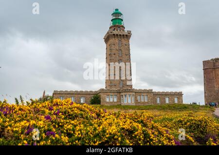 Schöne Aussicht auf ein Wildblumenfeld in der Nähe des Leuchtturms Phare Du Cap Frehel in Plevaon, Frankreich Stockfoto