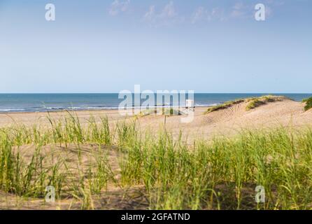 Der Strand am Morgen. Schöne Aussicht an einem sonnigen Sommertag. Szene der südatlantikküste. Mar de las Pampas, Argentinien. Lateinamerika. Stockfoto