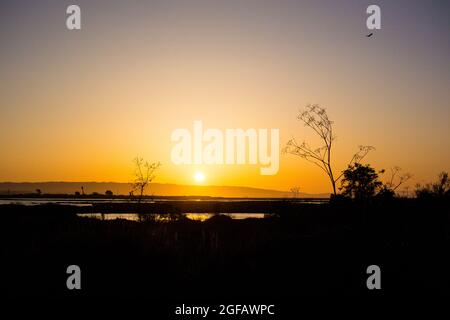 Auffallender orangefarbener Himmel, wenn die Sonne hinter den Bergen untergeht. Marsh Pflanzen in Silhouette vor dem Hintergrund von Licht reflektieren Wasser in Wildlife Preserve. Stockfoto