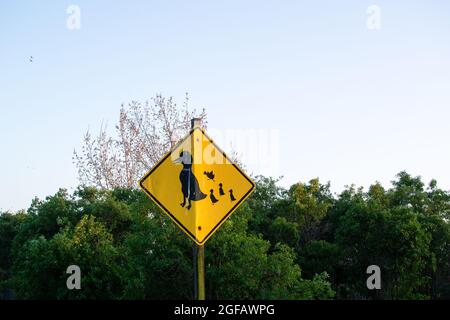 Enten überqueren Warnschild zeigt Erwachsene Ente und vier Entchen, eine fliegend über den anderen Stockfoto