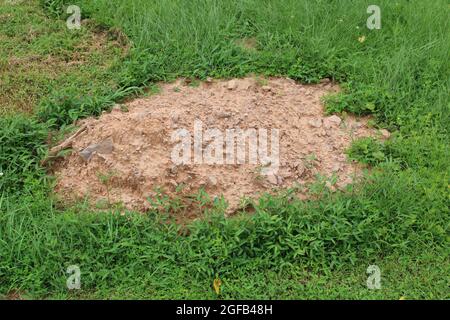 Ein Haufen Roter Schieferdicker Stockfoto