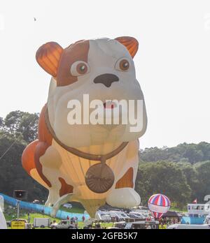 BRISTOL, VEREINIGTES KÖNIGREICH - 09. Aug 2012: Eine Aufnahme eines weißen Bulldog-Ballons beim Bristol Balloon Festival in Großbritannien Stockfoto