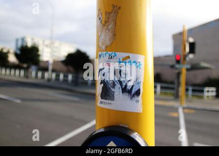 Wellington, Neuseeland, 25. August 2021. Graffiti, die behaupten, das Covid-19-Virus sei ein Schwindel, der auf einem Signalpol in der Nähe eines Testzentrums in Wellington, Neuseeland, geschrakelt wird, das derzeit aufgrund eines Ausbruchs der Delta-Variante in einer strengen Stufe-4-Sperre liegt. Quelle: Lynn Grieveson/Alamy Live News Stockfoto