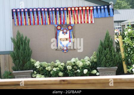 Farbbänder für Shows und Veranstaltungen im Kentucky Horse Park. Stockfoto