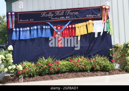 Farbbänder für Shows und Veranstaltungen im Kentucky Horse Park. Stockfoto