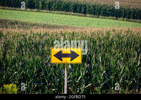 Straßenschild mit Pfeilen in entgegengesetzte Richtungen neben einem Wisconsin Maisfeld, horizontal Stockfoto