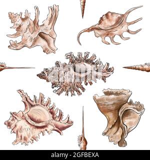 Aquarell digitale Illustration Nahtloses Muster von Muscheln aus braunem Meeresleben auf dem Hintergrund. Hochwertige Illustration Stockfoto