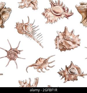 Aquarell digitale Illustration Nahtloses Muster von Muscheln aus braunem Meeresleben auf dem Hintergrund. Hochwertige Illustration Stockfoto