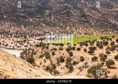 Landwirtschaftliches Feld am Flussufer auf dem Hochland, persische Königsstraße, Straße 55, Alexander der große, Vorort Yasuj, Iran, Persien, Westasien, Asien Stockfoto