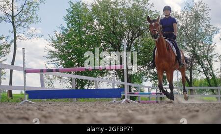 Eine junge Jockey-Frau galoppiert ihr braunes Pferd, galoppiert an einem Hindernis vorbei. Hochwertige Fotos Stockfoto