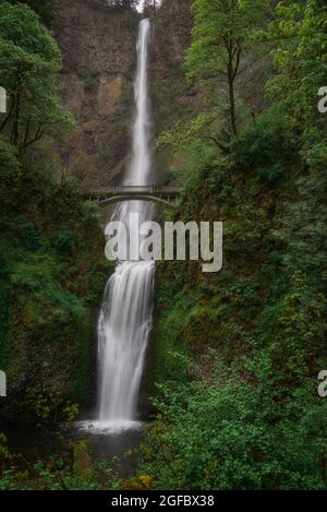 Wunderschöner Wasserfall über einer Brücke und üppig grüner Wald an den ruhigen und majestätischen Multnomah Falls, Columbia River Gorge, Oregon Stockfoto