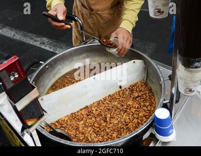 Beoundegi Seidenwurm Puppe Snack-Händler in der Fußgängerzone Insadong-gil in Seoul, Südkorea. Stockfoto