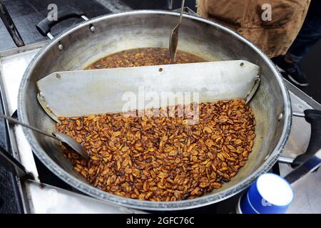 Beoundegi Seidenwurm Puppe Snack-Händler in der Fußgängerzone Insadong-gil in Seoul, Südkorea. Stockfoto