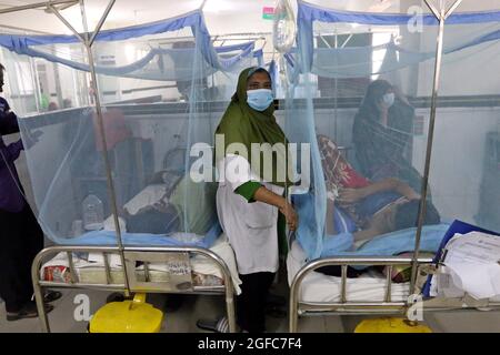 Die Zahl der Dengue-Patienten in Dhaka und anderswo in Bangladesch steigt weiter an. Nach Angaben der Gesundheitsabteilung wurden innerhalb von 24 Stunden bis zu 258 Patienten mit der durch Moskitos übertragenen Krankheit ins Krankenhaus eingeliefert. Dhaka, Bangladesch, 25. August 2021. Foto von Habibur Rahman/ABACAPRESS.COM Stockfoto