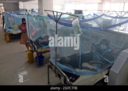 Die Zahl der Dengue-Patienten in Dhaka und anderswo in Bangladesch steigt weiter an. Nach Angaben der Gesundheitsabteilung wurden innerhalb von 24 Stunden bis zu 258 Patienten mit der durch Moskitos übertragenen Krankheit ins Krankenhaus eingeliefert. Dhaka, Bangladesch, 25. August 2021. Foto von Habibur Rahman/ABACAPRESS.COM Stockfoto