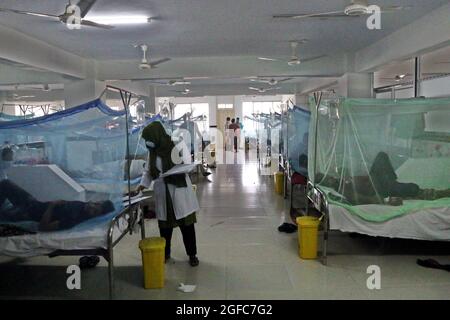 Die Zahl der Dengue-Patienten in Dhaka und anderswo in Bangladesch steigt weiter an. Nach Angaben der Gesundheitsabteilung wurden innerhalb von 24 Stunden bis zu 258 Patienten mit der durch Moskitos übertragenen Krankheit ins Krankenhaus eingeliefert. Dhaka, Bangladesch, 25. August 2021. Foto von Habibur Rahman/ABACAPRESS.COM Stockfoto