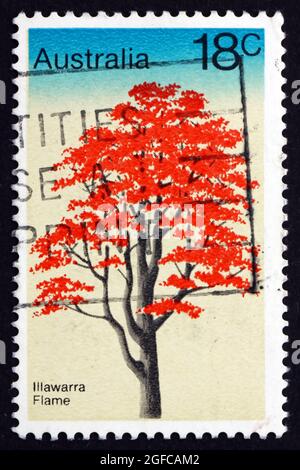 AUSTRALIEN - UM 1978: Eine in Australien gedruckte Marke zeigt Illawarra Flame Tree, Brachychiton Acerifolius, um 1978 Stockfoto