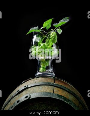 Frische Hopfenpflanzenzapfen in Craft-Bierglas auf altem Holzfass Stockfoto