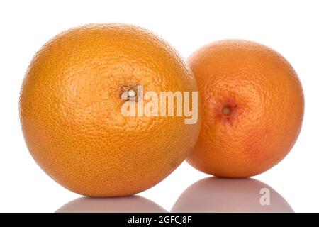 Zwei reife, saftige Grapefruits, aus der Nähe, isoliert auf Weiß. Stockfoto