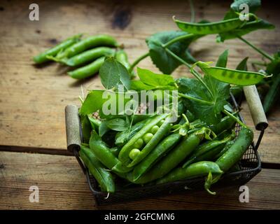 Frische grüne Erbsen und grüne Erbsen mit Sprossen. Gesunde Ernährung Stockfoto