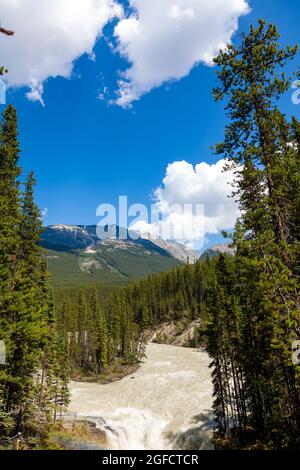 Blick auf die Sunwapta Wasserfälle in der kanadischen Rocky Mountains Region. Stockfoto