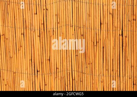 Strohhintergrund von gelber Farbe. Traditionelle chinesische Textur. Stockfoto